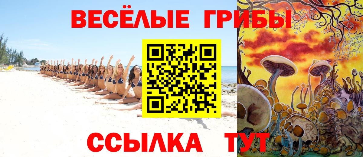 Галлюциногенные грибы мицелий  Вход с VPN  Светлоград  Галлюциногенные грибы MAGIC MUSHROOMS 