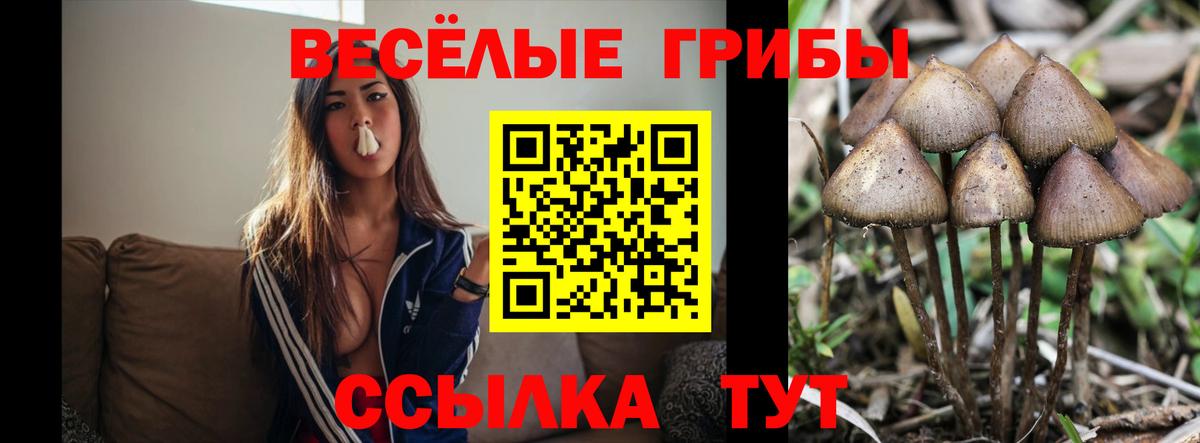 Галлюциногенные грибы Magic Shrooms Светлоград