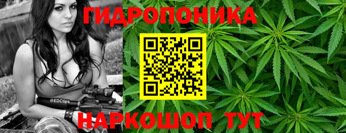 Шишки марихуана MAZAR Светлоград
